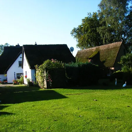 Mit Boddenblick * Middelhagen